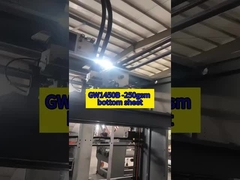 GW1450B -250 গ্রাম নীচের শীট
